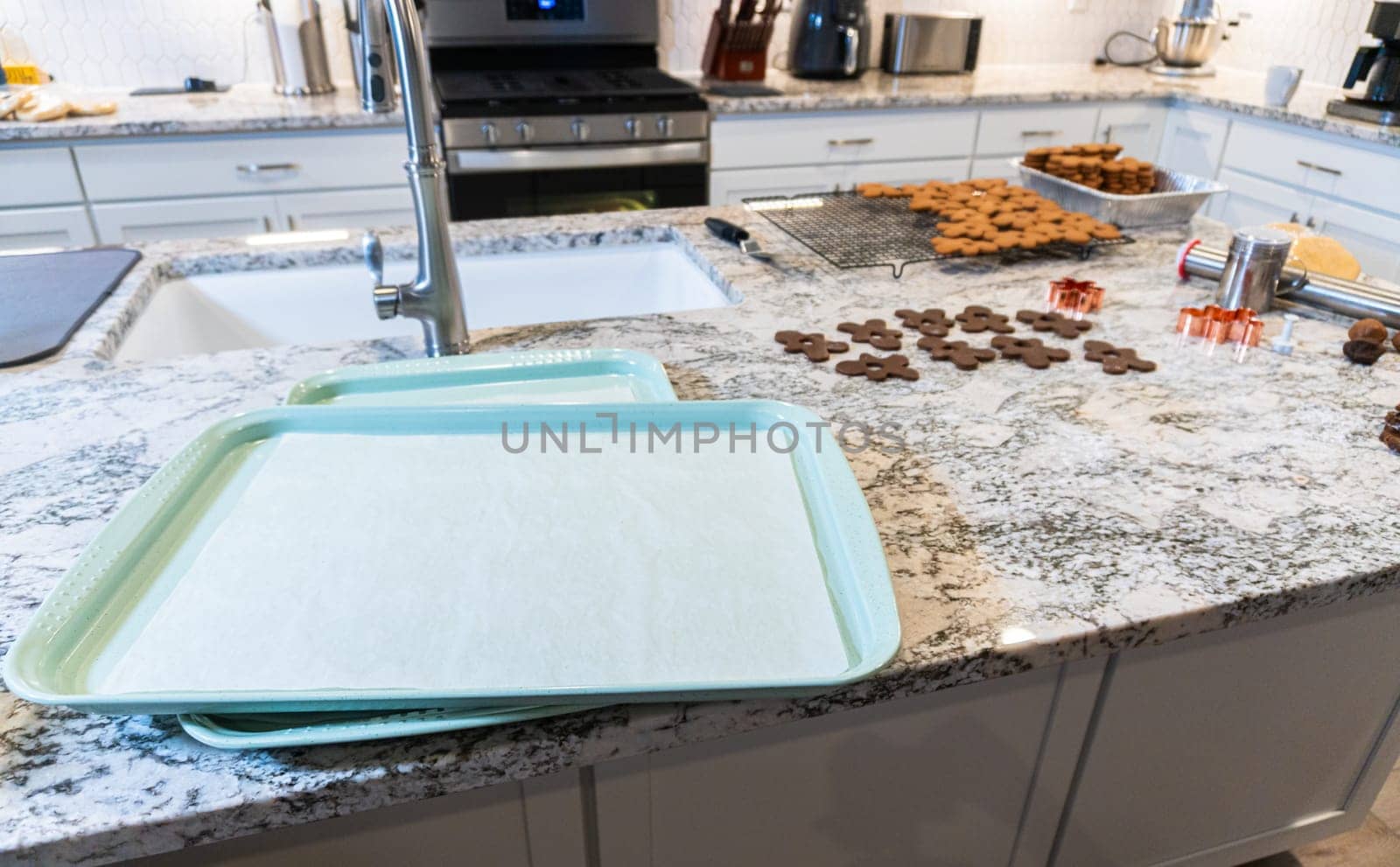 Gingerbread cookies, perfectly chilled and arranged on a baking sheet lined with parchment paper, await their turn to bake in the oven.