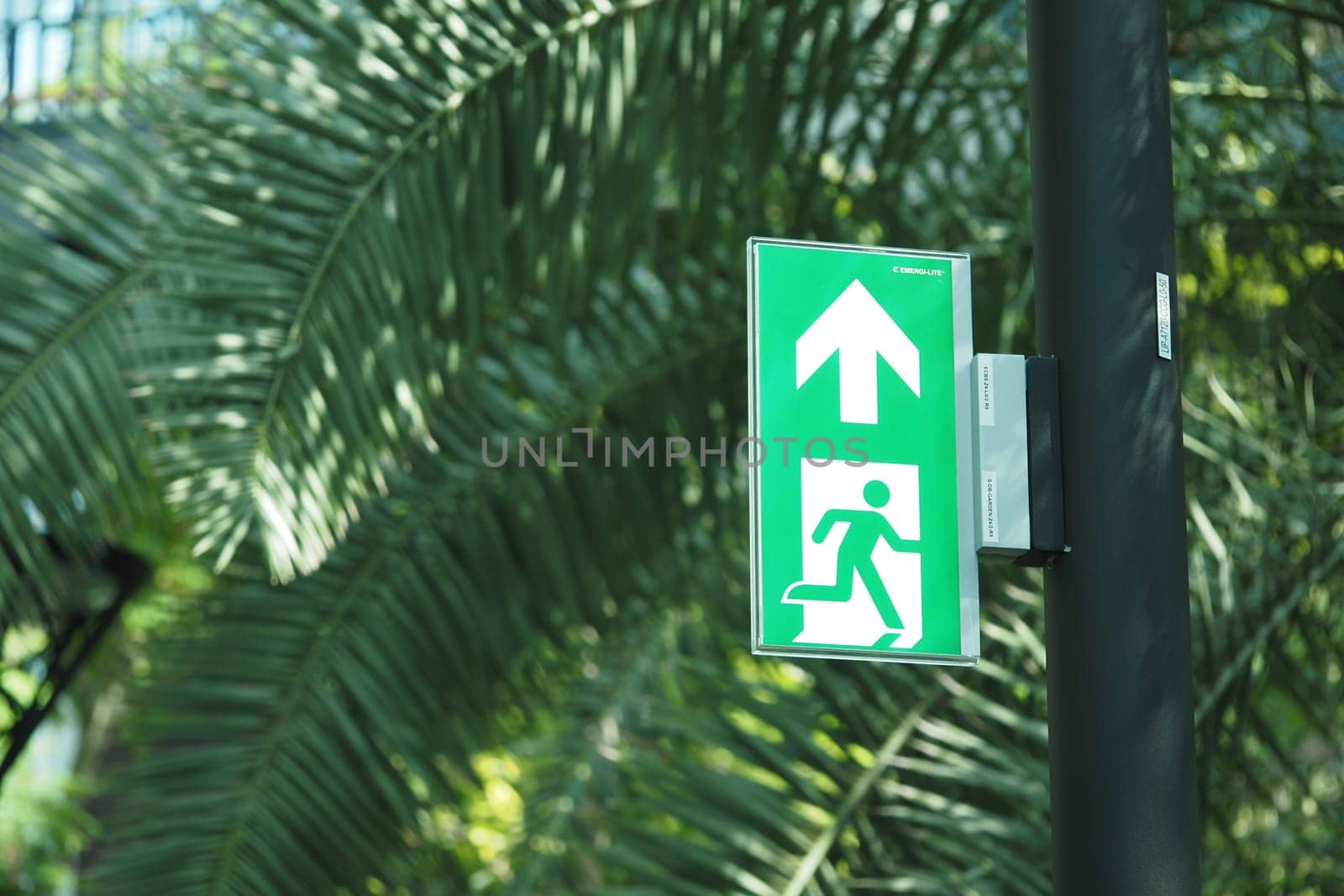 Green emergency exit sign mounted near lush palm trees outdoors