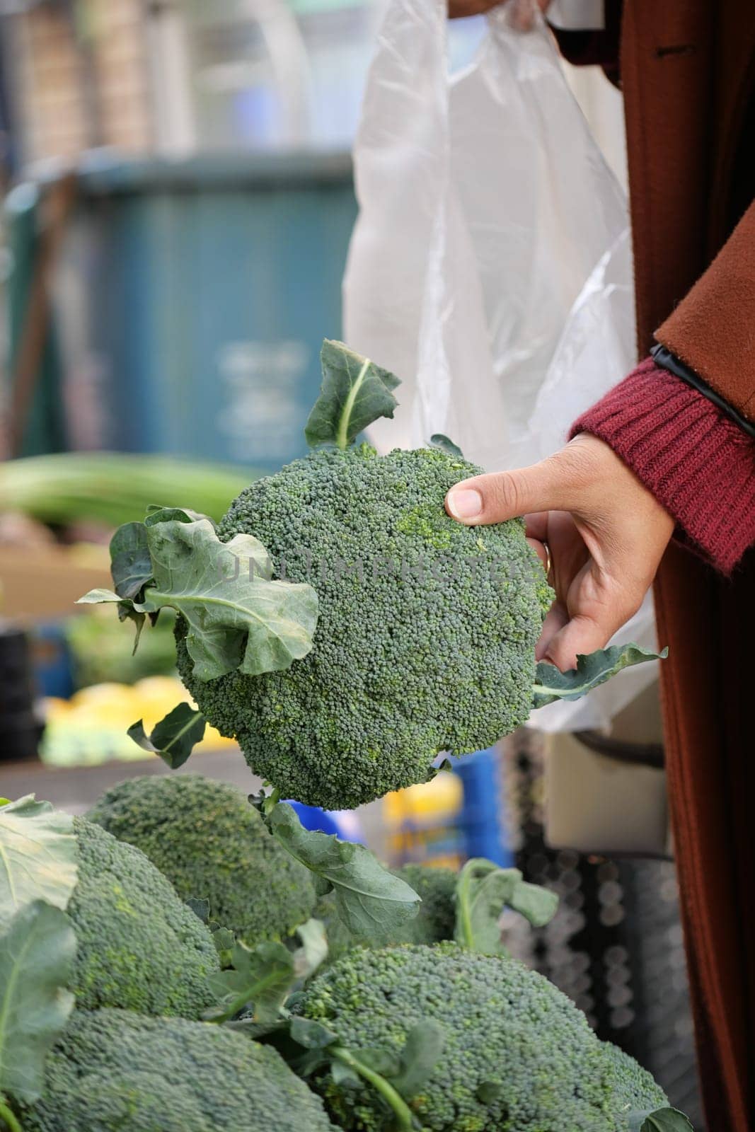 A person inspects fresh broccoli at an outdoor market during daylight.