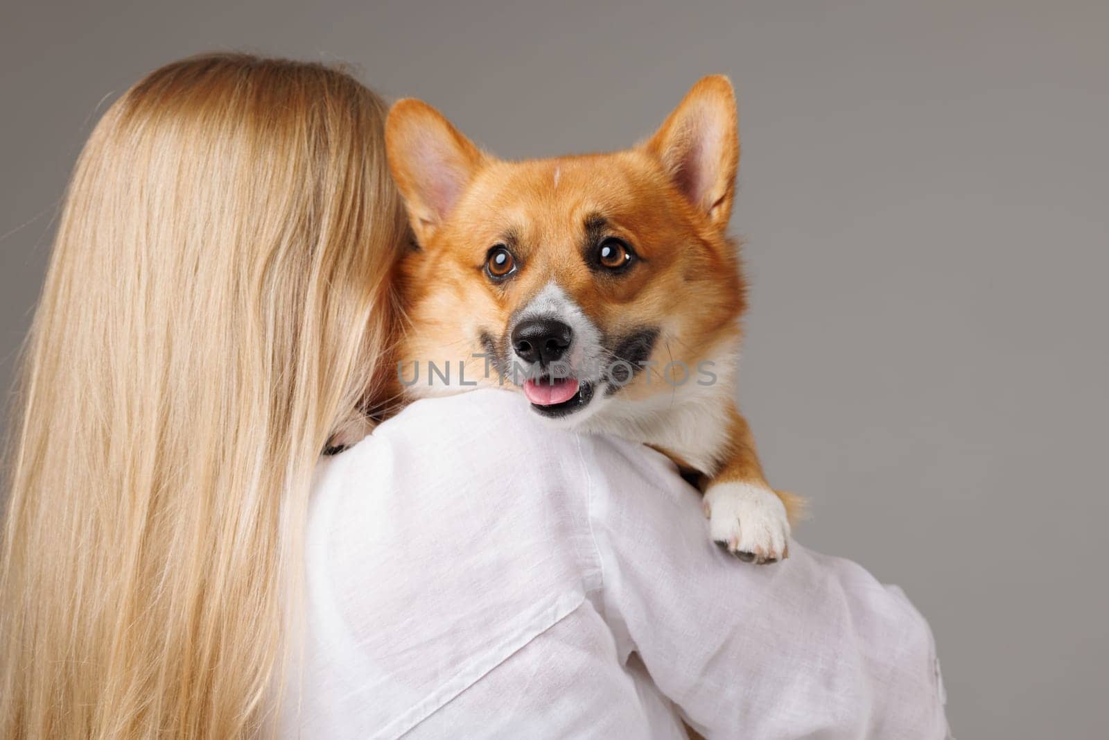 Cute Corgi dog being hugged by a woman, showing affection and happiness, close-up on neutral background.