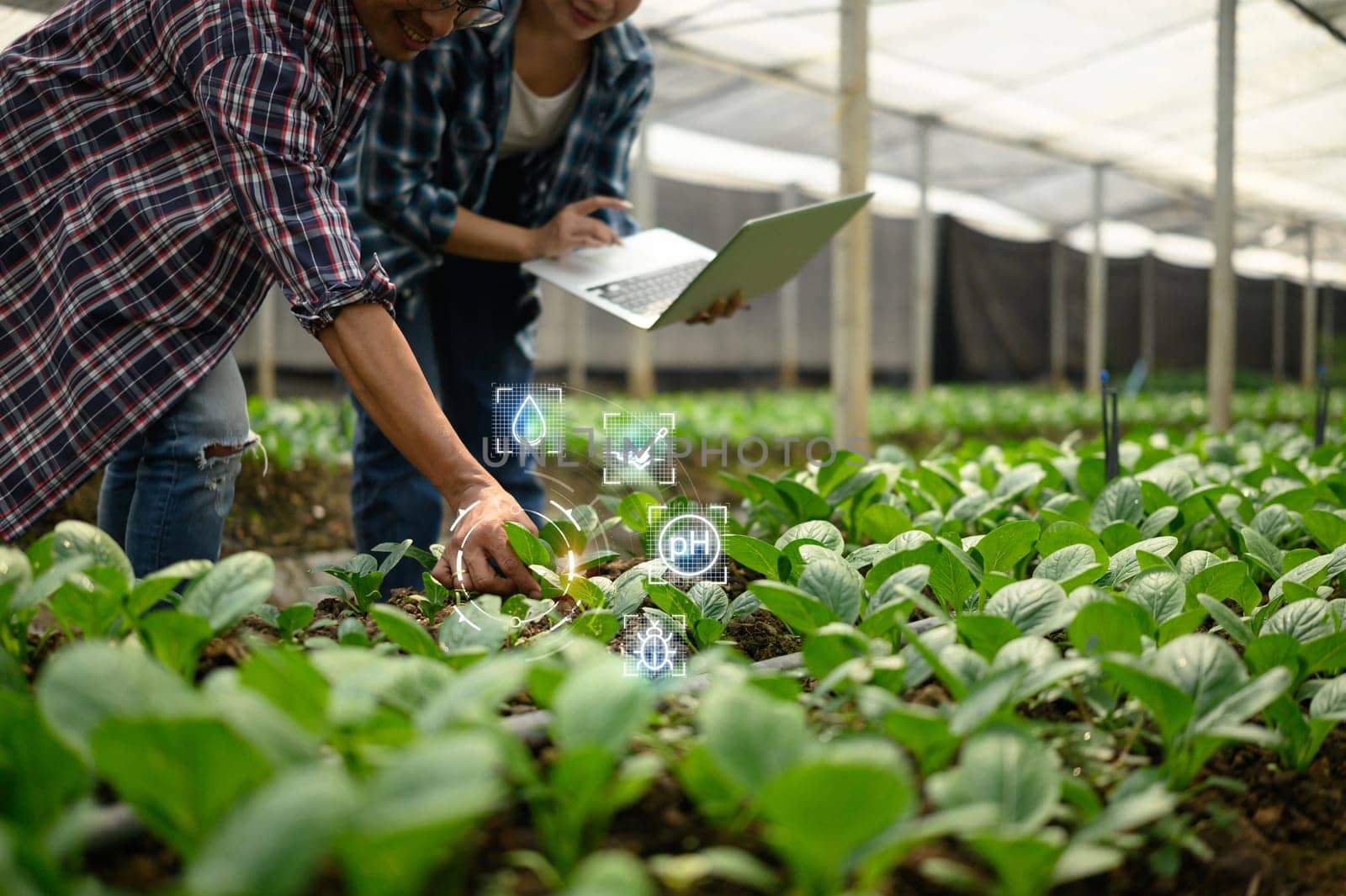 Two farmers examining young plants in a greenhouse while using laptop and smart farming technology.