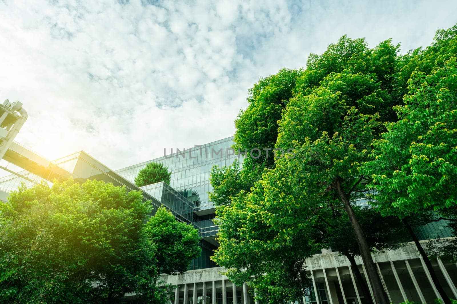 Sustainable green building. Eco-friendly building. Sustainable glass office building with tree for reducing carbon dioxide. Office with green environment. Corporate building reduce CO2. Safety glass.