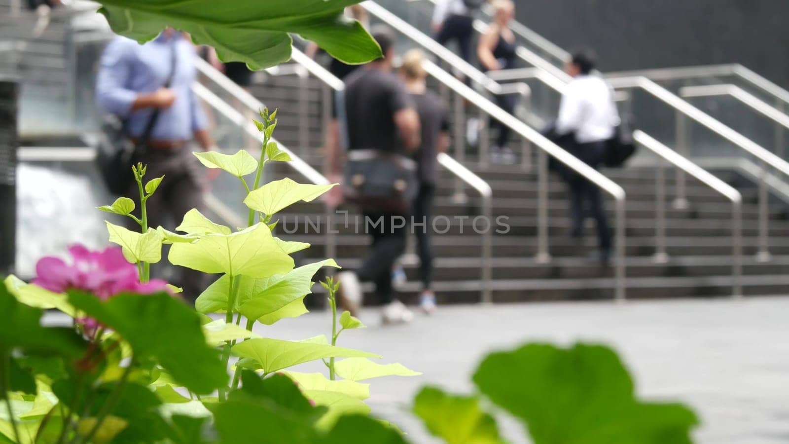 New York City, United States - 11 Sept 2023: Manhattan Midtown Lexington avenue. Defocused people pedestrian exiting subway metro station, stairs on 53 street, USA urban life. Park greenery, flowers.