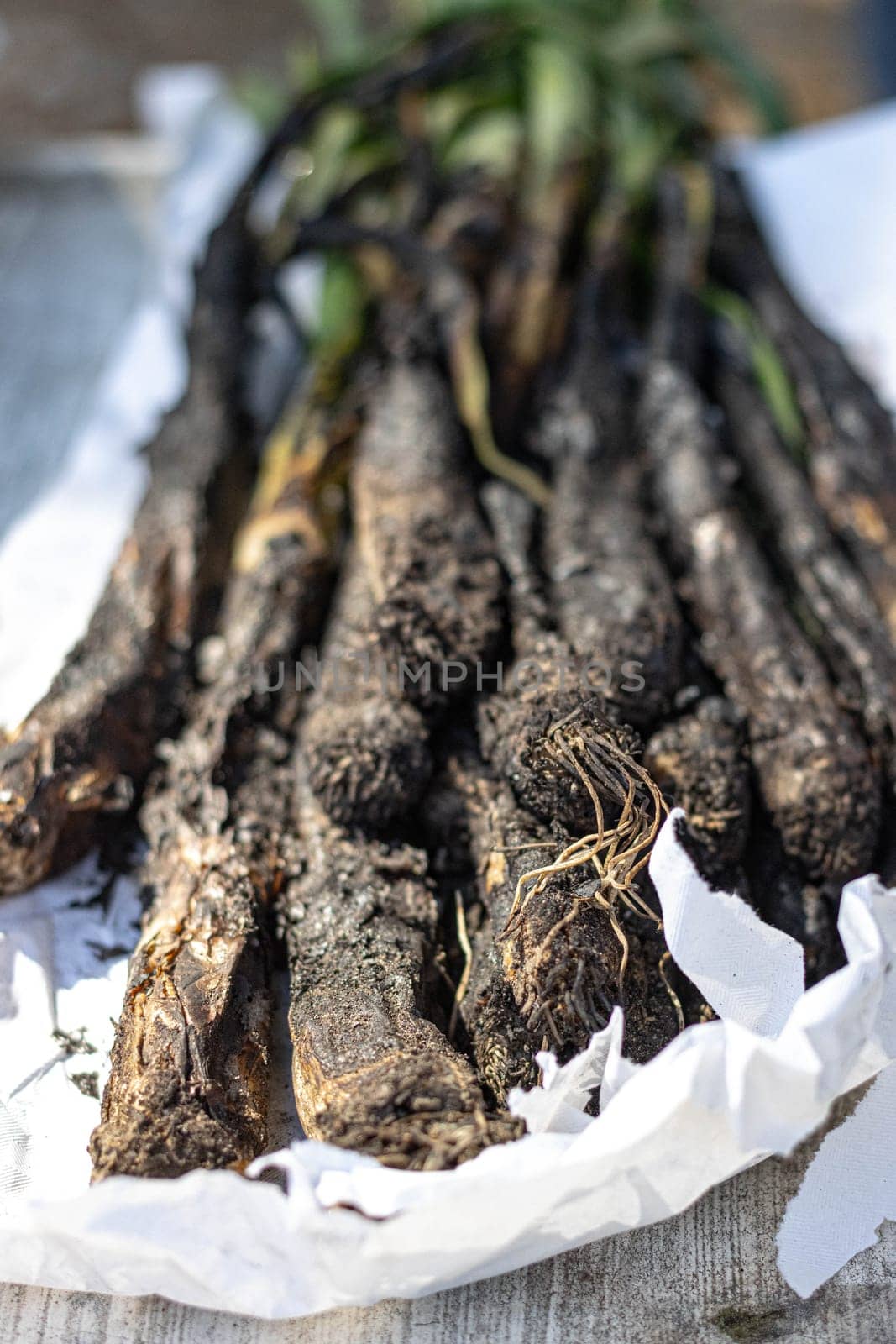 Close-up of freshly harvested calçots with soil, a traditional Catalan vegetable typically grilled in the popular "calçotada" event. A rustic and authentic ingredient used in seasonal Spanish cuisine.