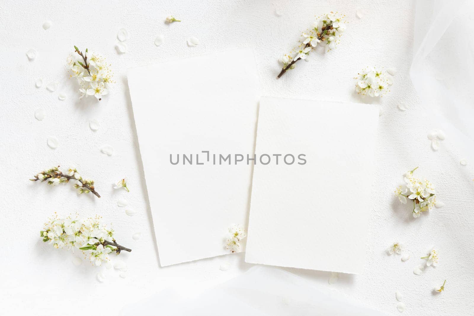 Blank cards near tulle and wild plums white flowers top view, mockup. Pastel vertical cards for spring party design or romantic wedding stationery. Close to nature or mothers day concept