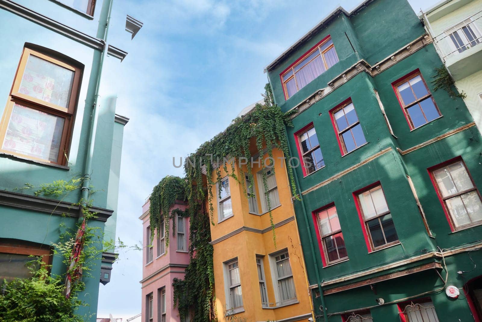 Vibrant buildings line a narrow alley adorned with vines.