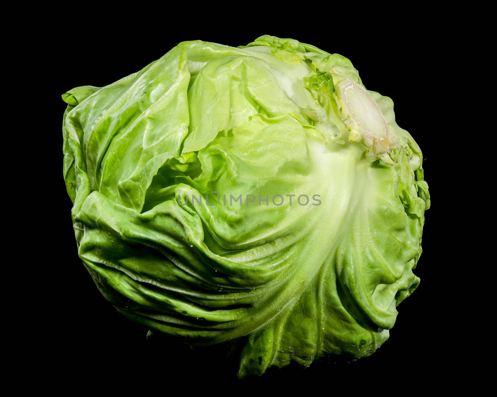 Close-up of a fresh green cabbage with textured leaves, isolated on a black background. Perfect for healthy food and organic farm concepts