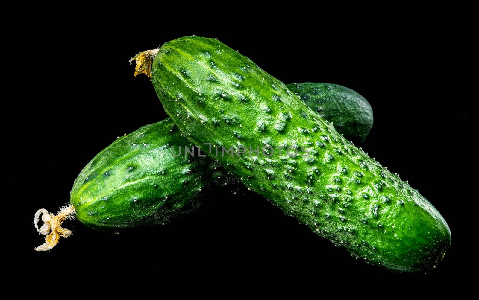 A close-up photo of fresh cucumbers with dew drops, set against a black background, highlighting their vibrant green color and natural texture