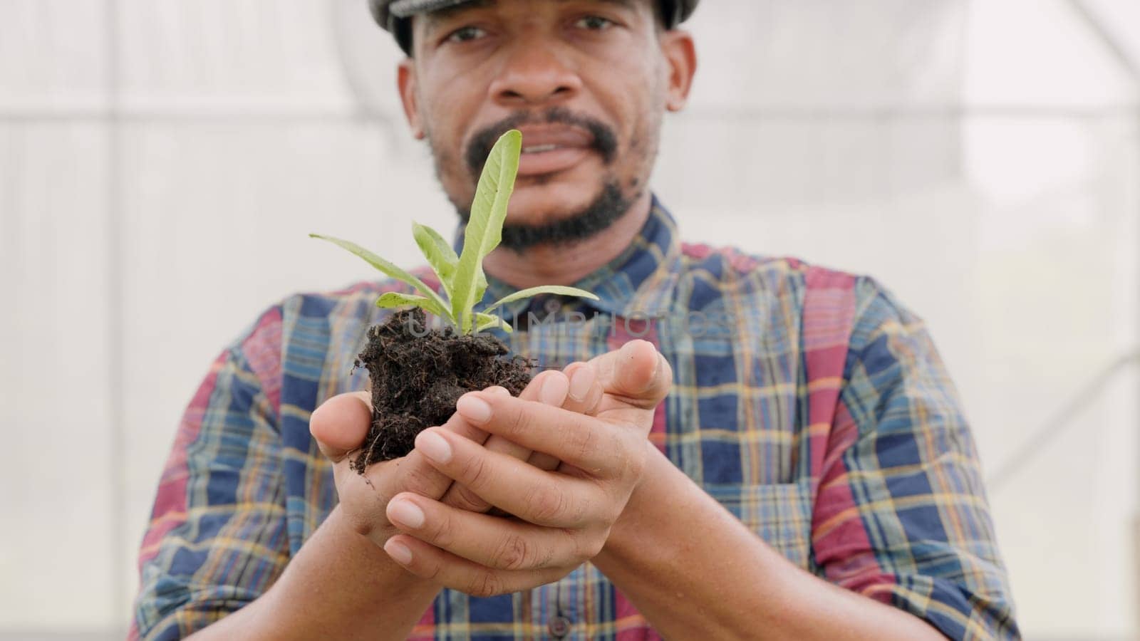 Confident farmer man showing compacted soil with children green lettuce, farming holding hand just taking from ground and lettuce, Agriculture farming