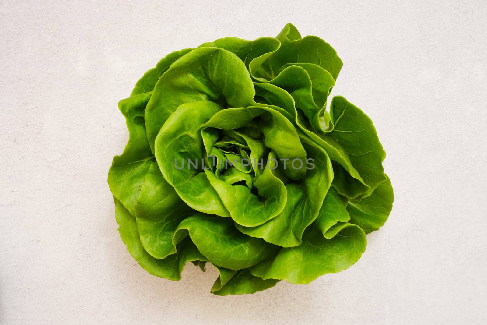A vibrant head of fresh green butterhead lettuce on a light background, showcasing its crisp, layered leaves. This healthy vegetable is perfect for salads, sandwiches, or garnish.