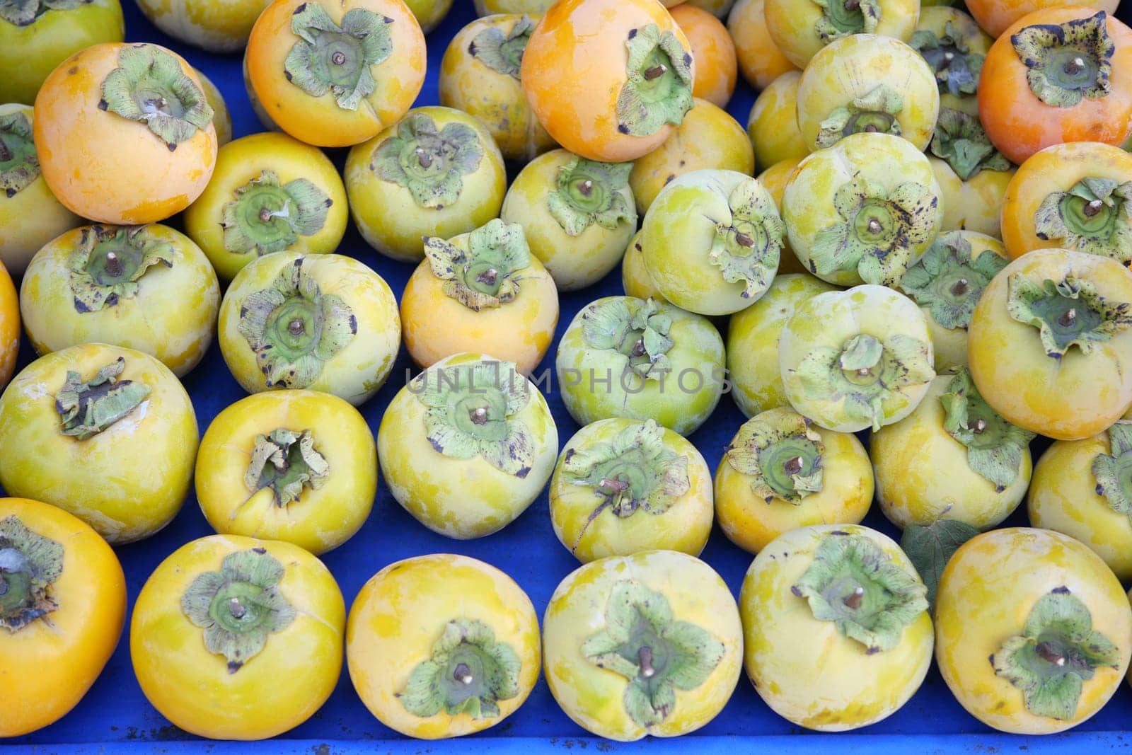 Fresh, ripe persimmons fill a vibrant blue crate at a market stall.
