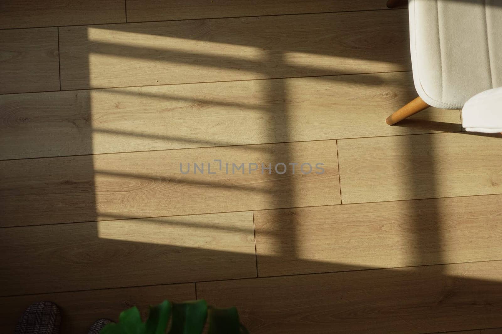 Sunlight creates patterns on a wooden floor while a chair rests nearby.