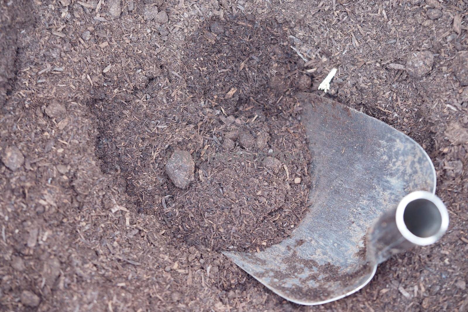 Digging into rich soil with a metal shovel while gardening outside.