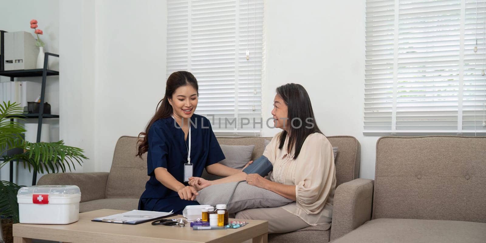 A caregiver works attentively with an elderly woman, demonstrating a holistic approach to healthcare in a supportive home setting.
