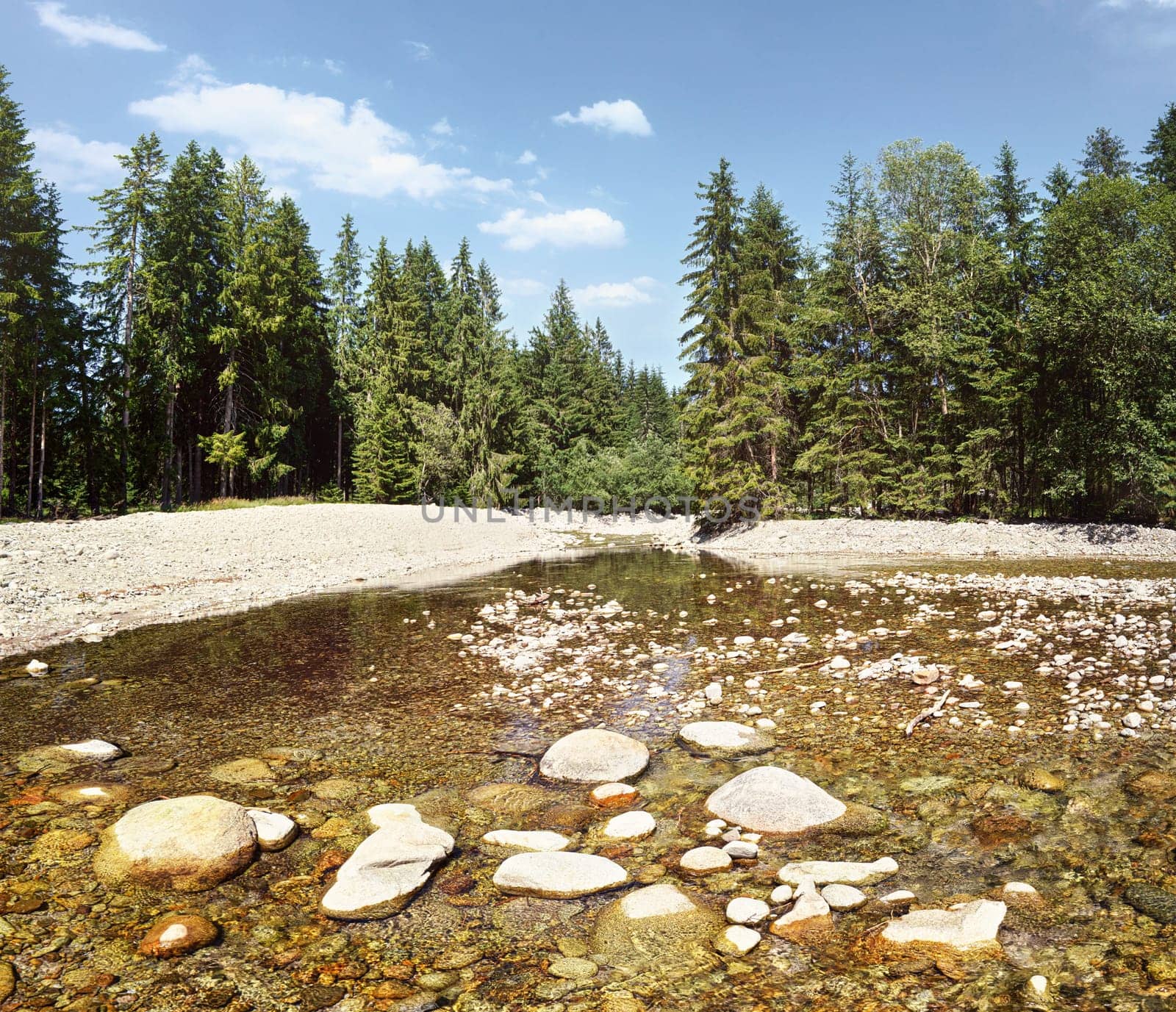Shallow river flowing in forest, sun shines on round stones and trees at both sides