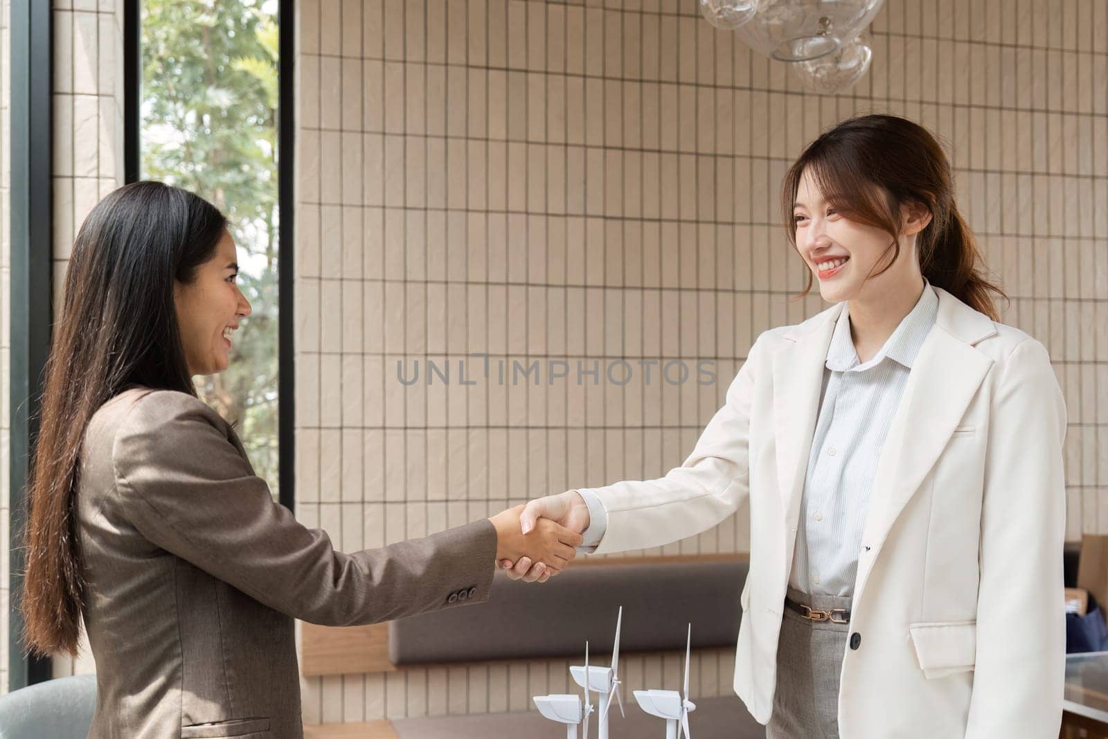 In a bright office setting, two women professionals close a deal with a handshake, fostering commitments to sustainable and renewable energy solutions.