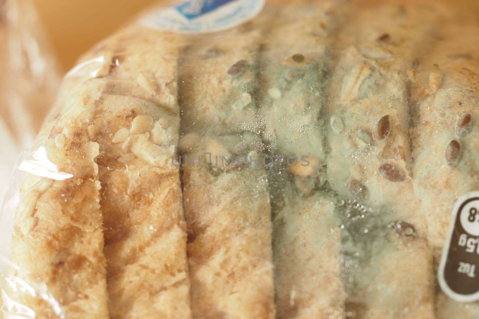 Close-up of bread slices covered in blue mold inside a clear bag.