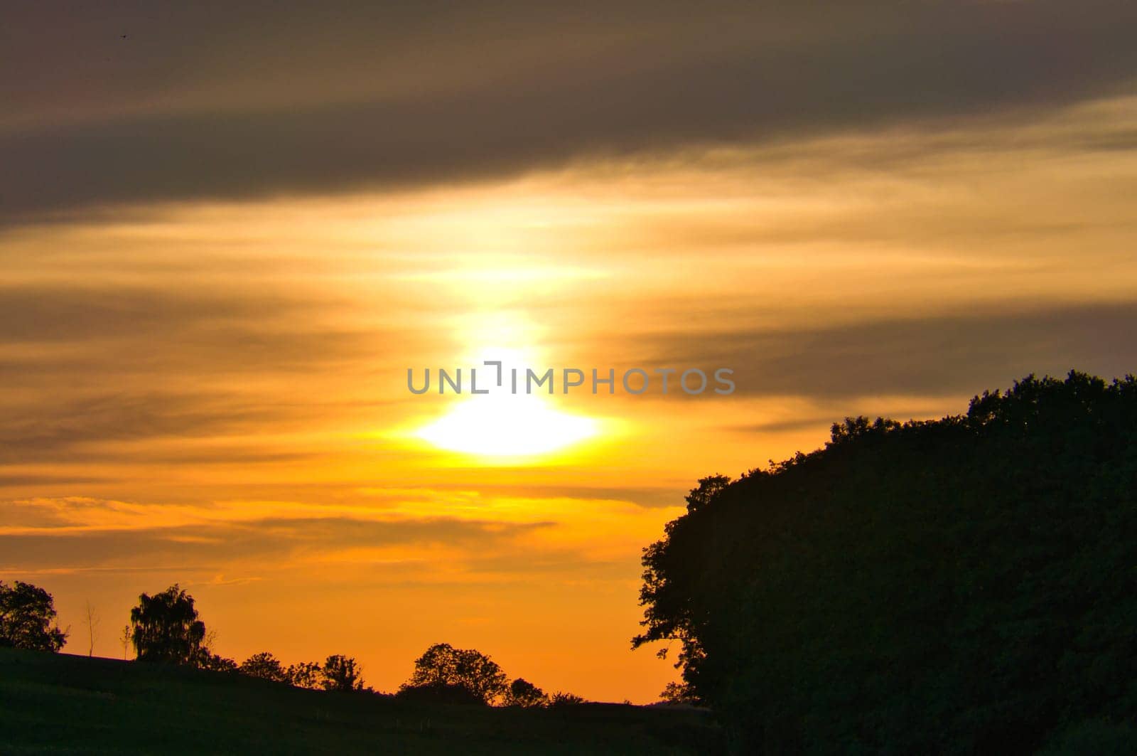 Sunset behind trees and fields, the sky glows in warm yellow and orange tones. Perfect for nature, landscape and idyllic themes!