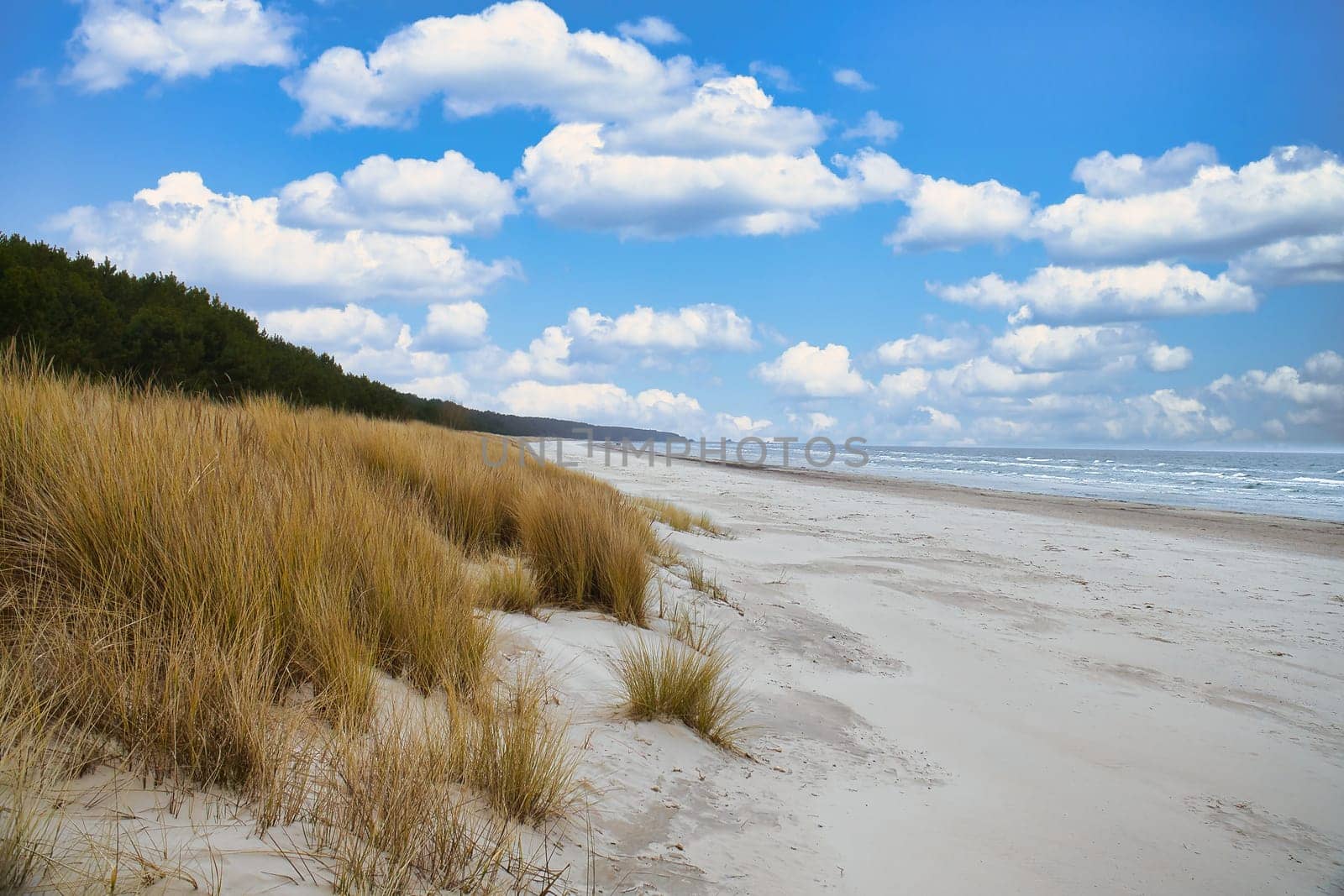 View over the dunes on the island of Usedom to the Baltic Sea. Dune grass and white sand. Nature photo