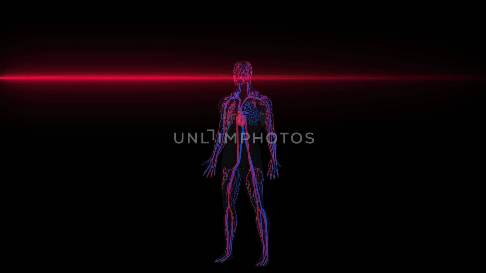 Human Circulatory with neon scanner. Computer generated 3d render