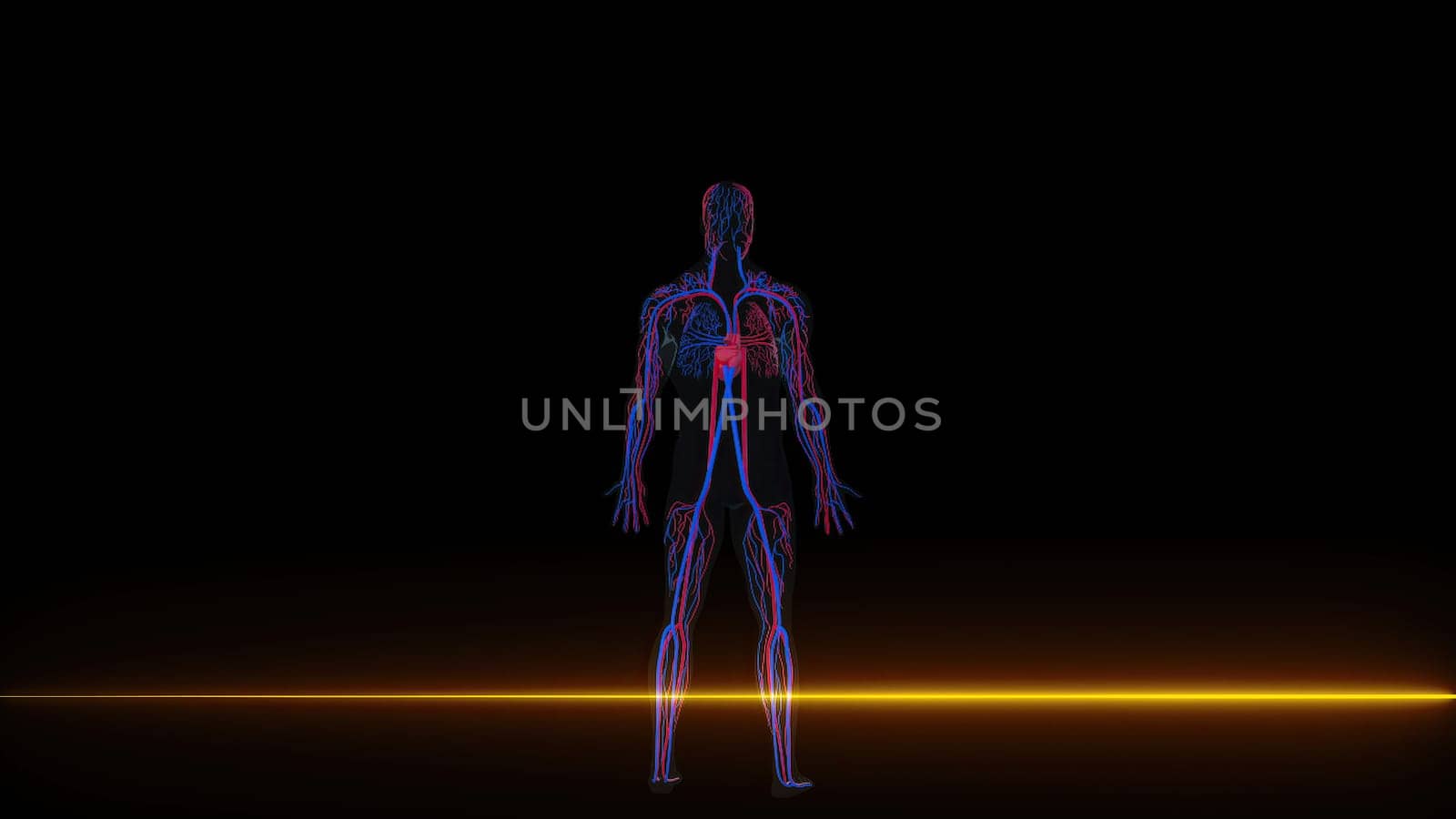 Human Circulatory with neon scanner. Computer generated 3d render