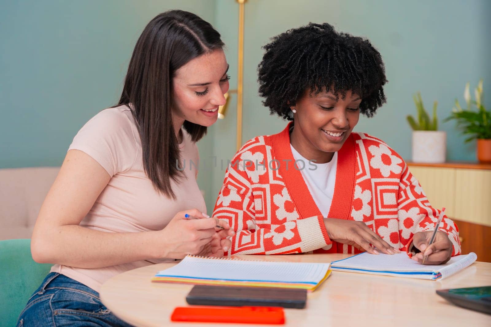 Caucasian and African American students work together using a laptop and notebook. Focused and cheerful, they collaborate in a cozy indoor space, representing learning, diversity, and teamwork.