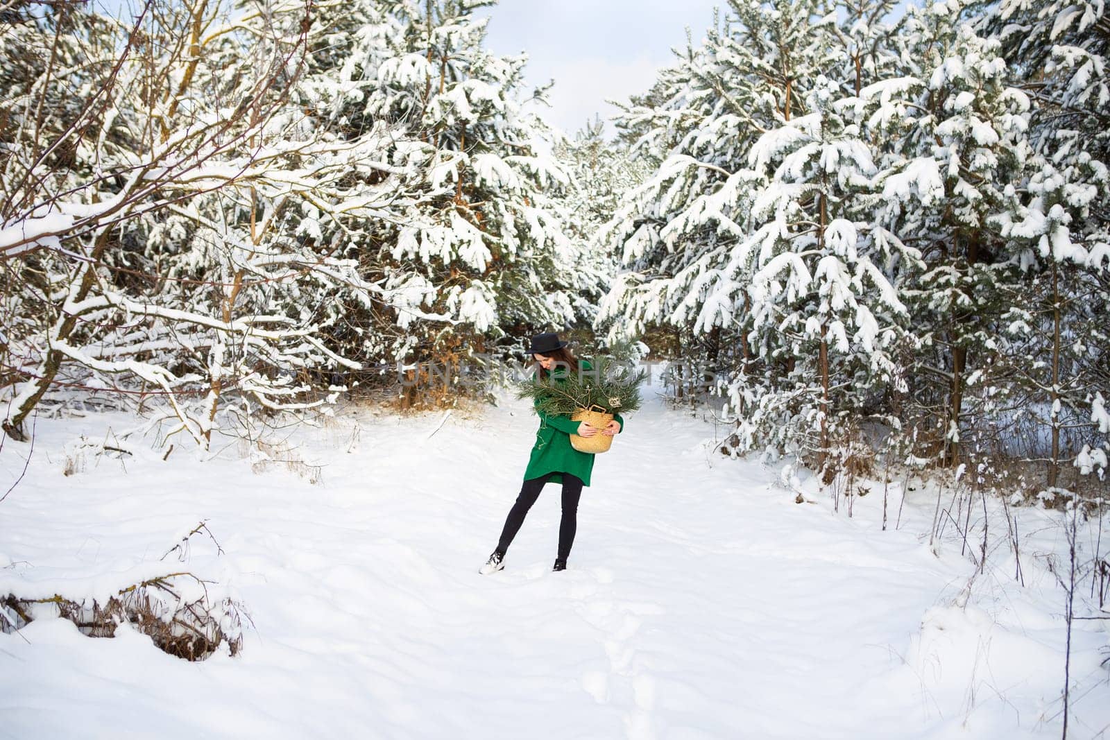 A young beautiful girl in a green sweater and hat stands in the winter forest along with a basket with pine branches