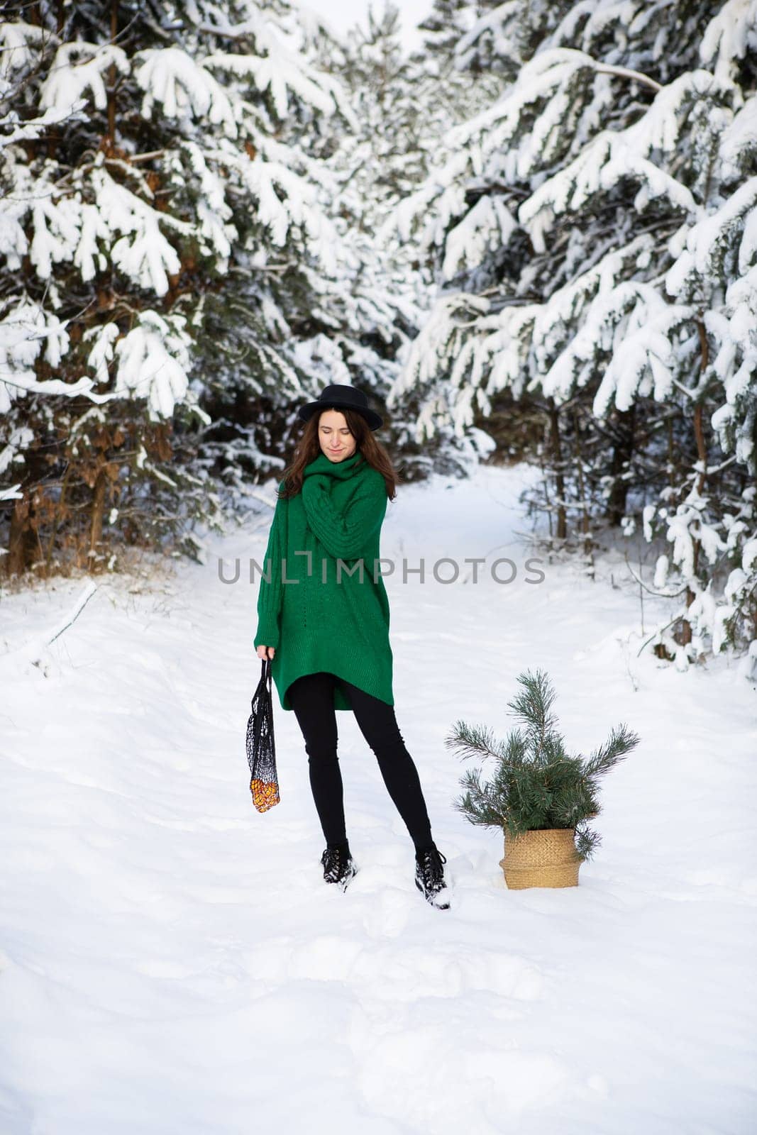 A young beautiful girl in a green sweater and hat stands in the winter forest with a basket, with pine branches and a string bag with tangerines.