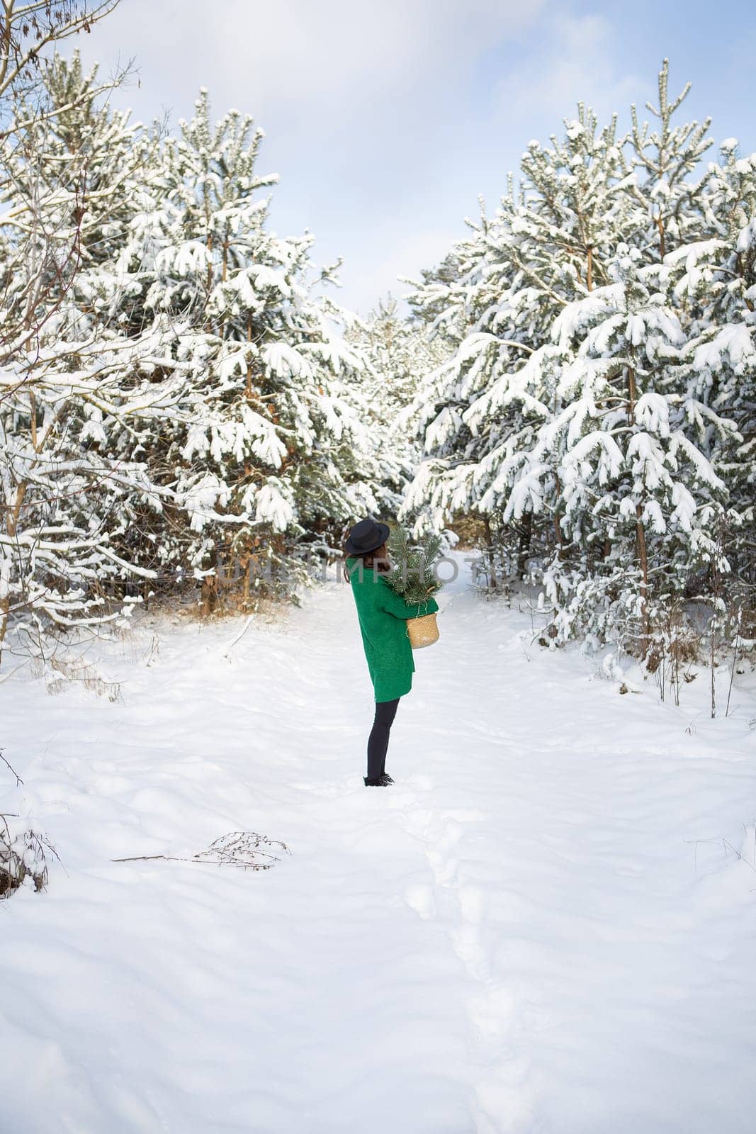 A young beautiful girl in a green sweater and hat stands in the winter forest along with a basket with pine branches
