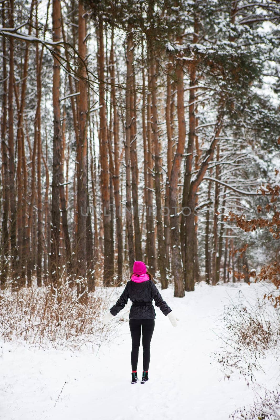 A girl in a pink scarf and hat stands in the middle of a pine forest. Beautiful pine forest on a frosty day
