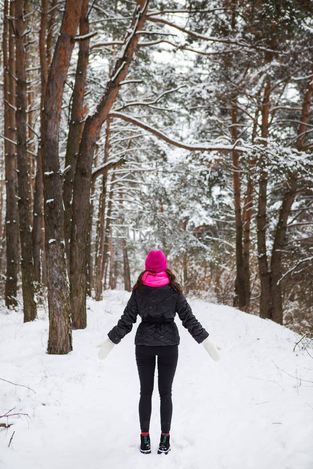 A girl in a pink scarf and hat stands with her back in the middle of a pine forest. Beautiful pine forest on a frosty day