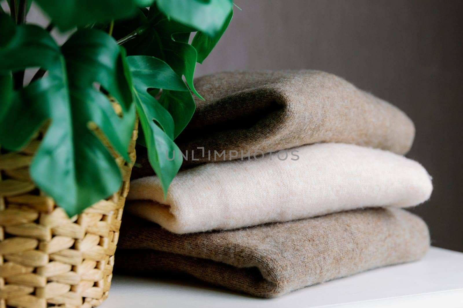 Soft and thin sweaters in nude shades made from natural goat hair lie on a retro white cabinet next to a flower in a pot, side view very close up. Conceptual women's clothing, new collection, natural items, fashion industry.