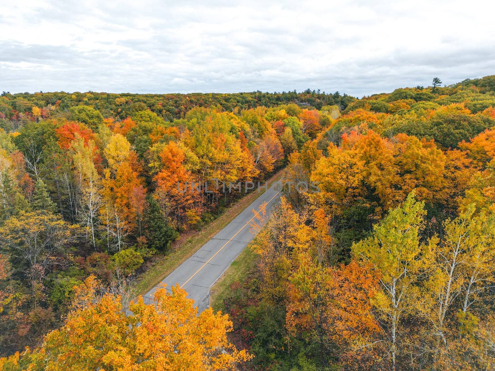 A picturesque road meanders its way through a forest filled with trees displaying vibrant fall colors, creating a stunning landscape perfect for nature lovers and outdoor enthusiasts.