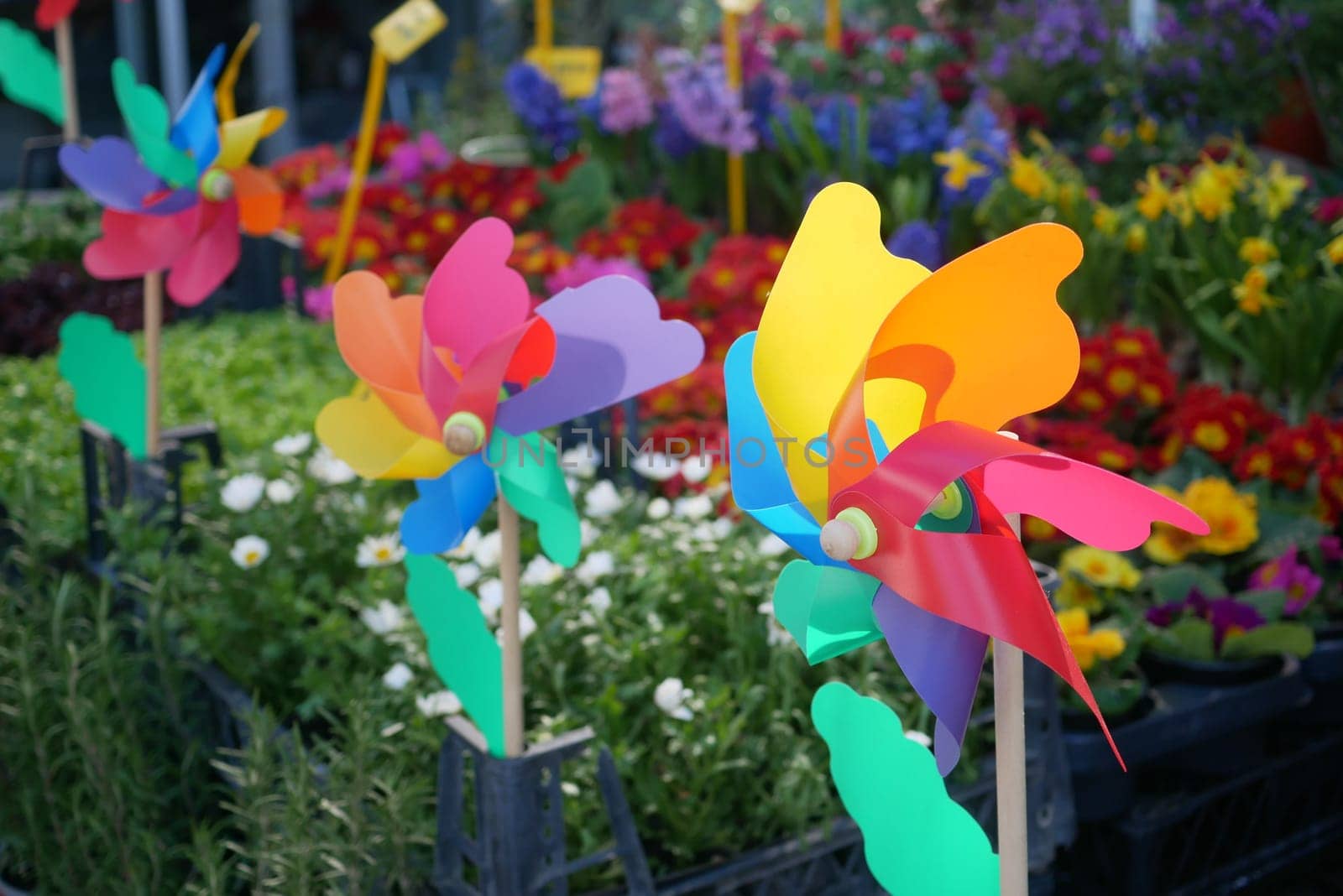 Bright pinwheels spin amidst an array of blooming flowers in springtime.