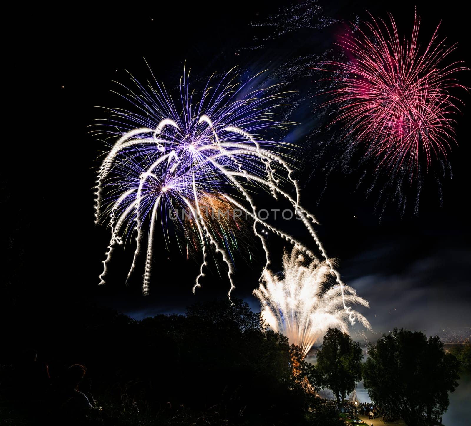 Firework display on the night sky at a festival