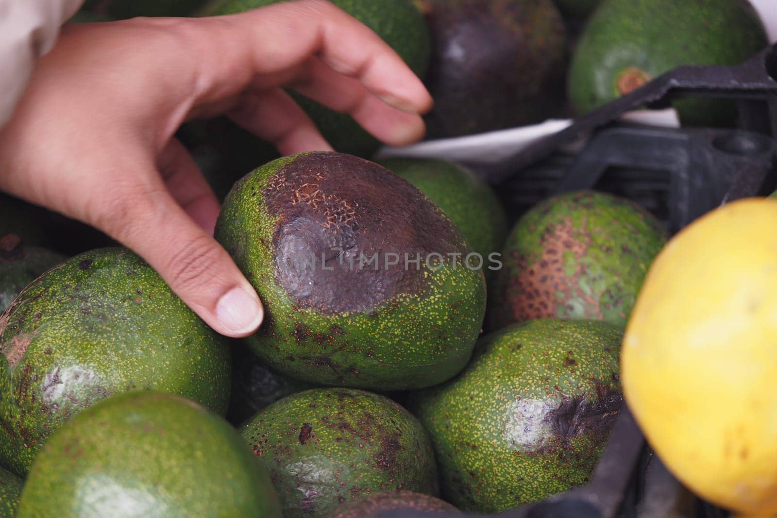 A hand reaches for a ripe avocado among fresh produce at the market.