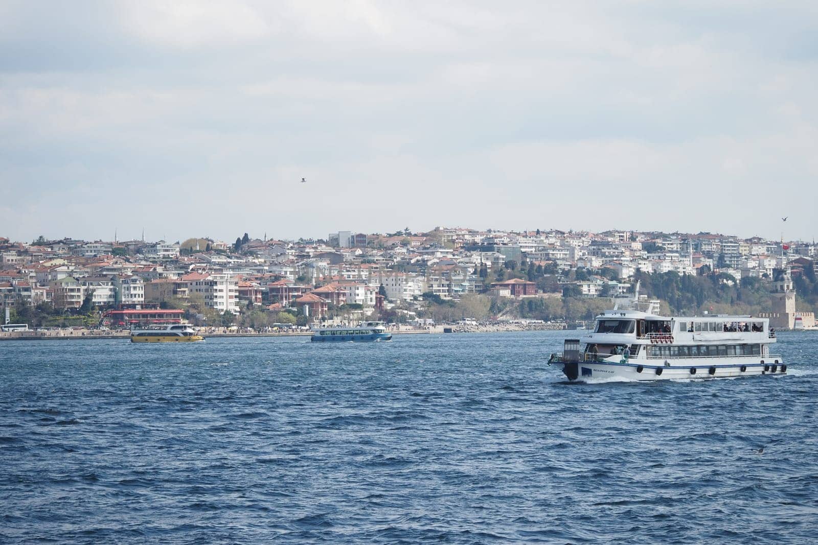 Ferry travels across the water with a vibrant cityscape nearby.