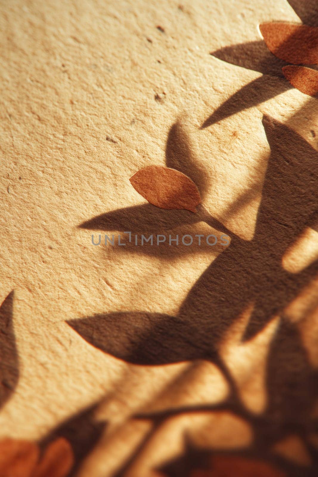 Shadow of delicate leaves falling over textured beige paper in warm sunlight. Ideal for botanical designs, eco branding, craft packaging, and seasonal creative projects