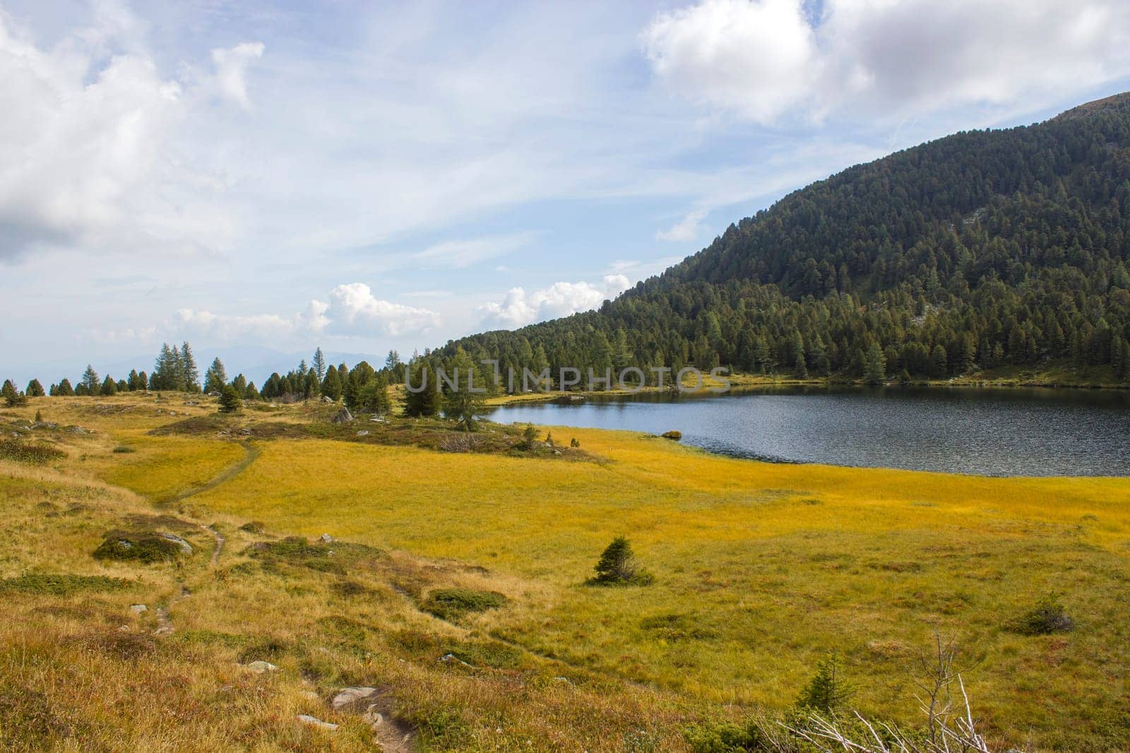 Landscape in Austian Alps, Steiermark, Austria