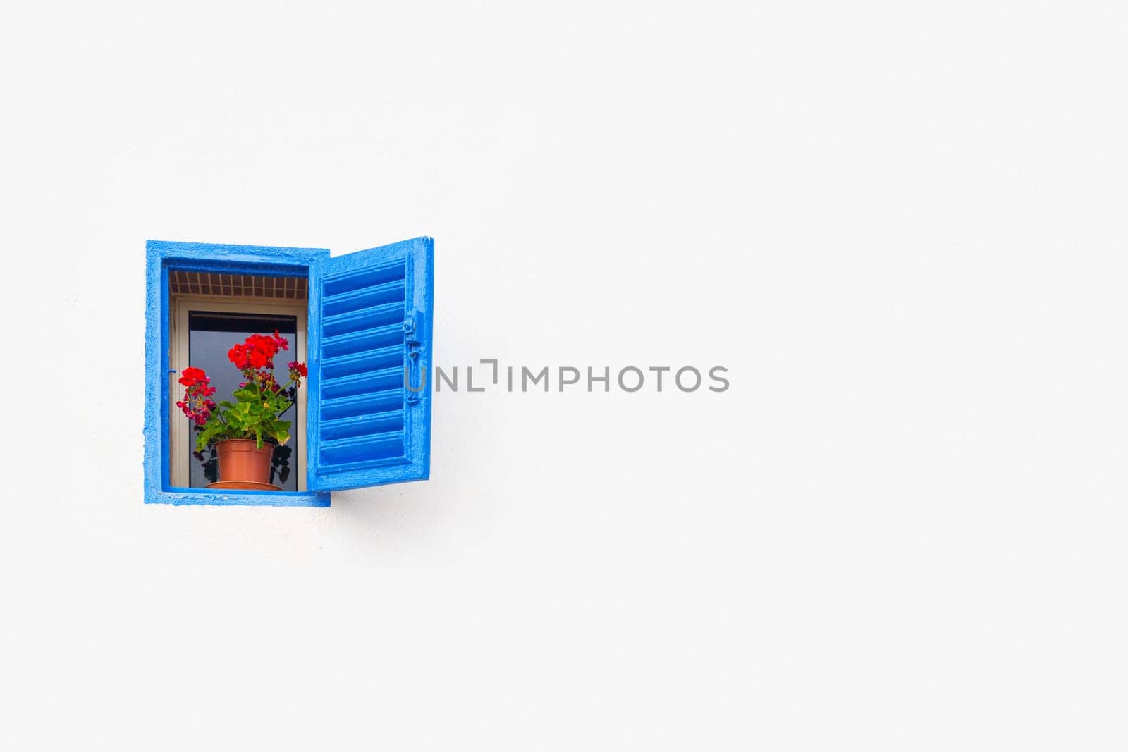 A plain white wall with opened blue window with a potted plant