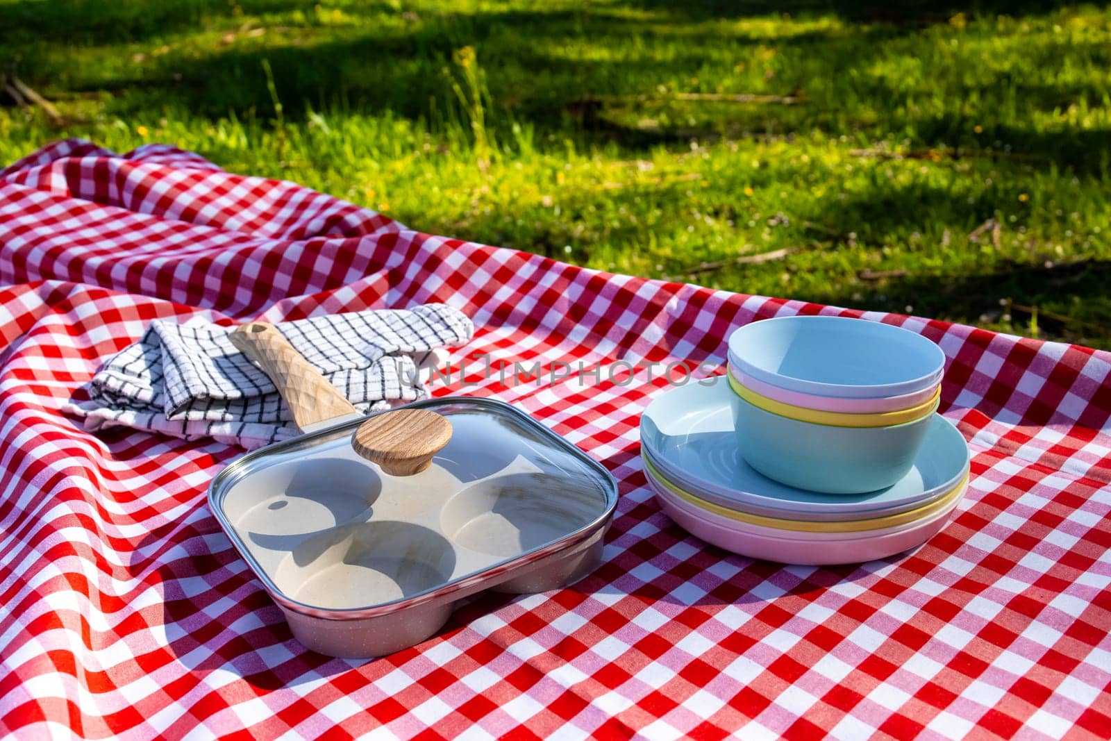 Outdoor picnic scene with red checkered blanket, plates, and cooking pan in sunlit park.