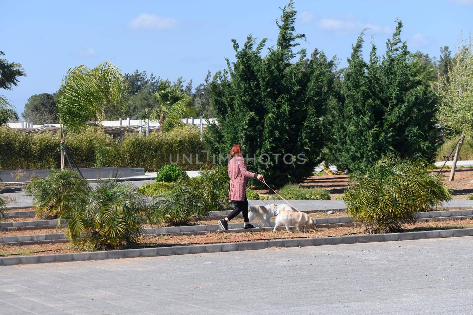 A woman walks her dog along a tree-lined path in a picturesque park. The sun shines brightly as gentle breezes sway the branches. This serene moment captures the joy of companionship and nature.