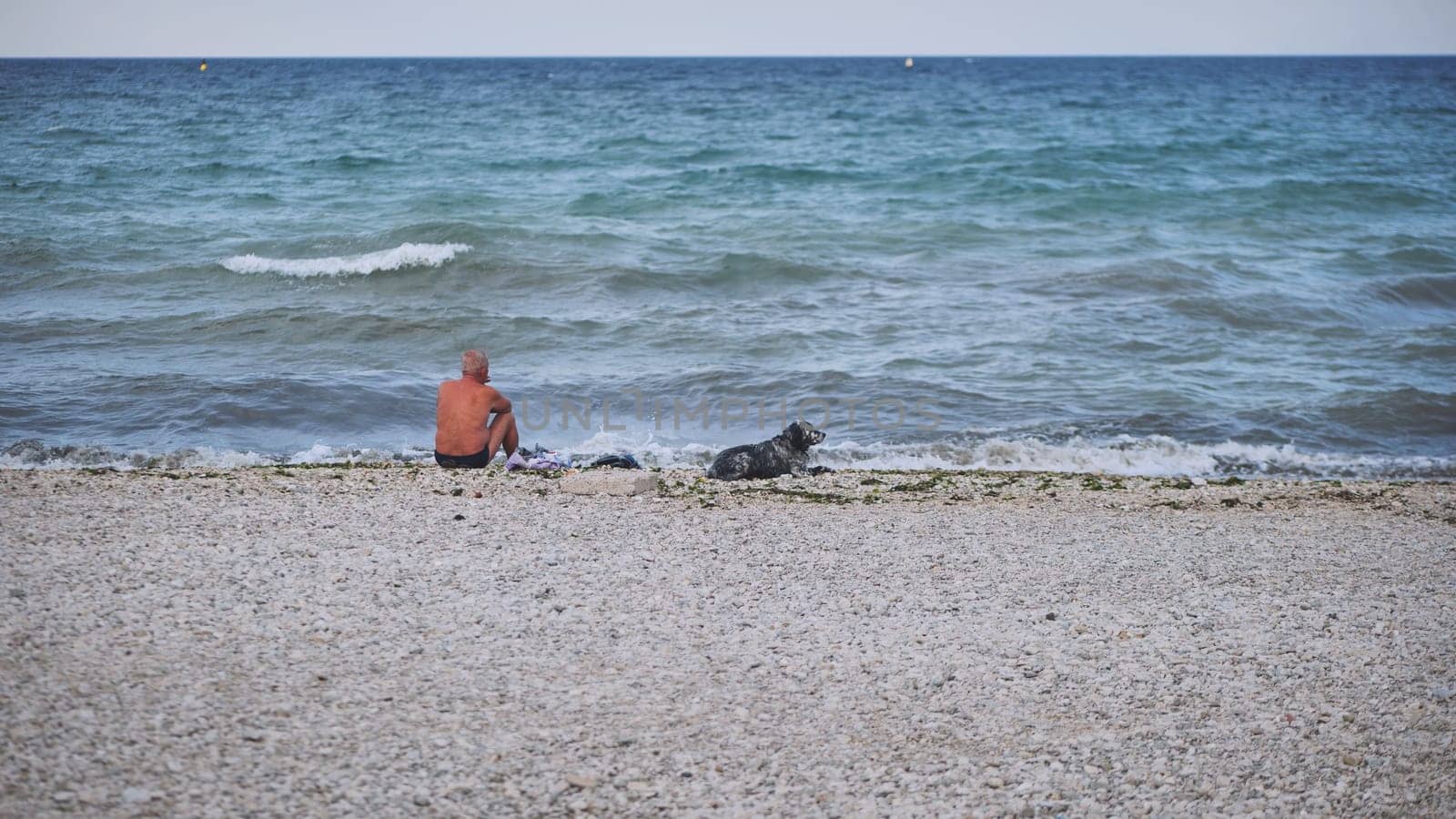 Elderly man sitting on pebble beach with his dog, enjoying the view of the Black Sea in Crimea