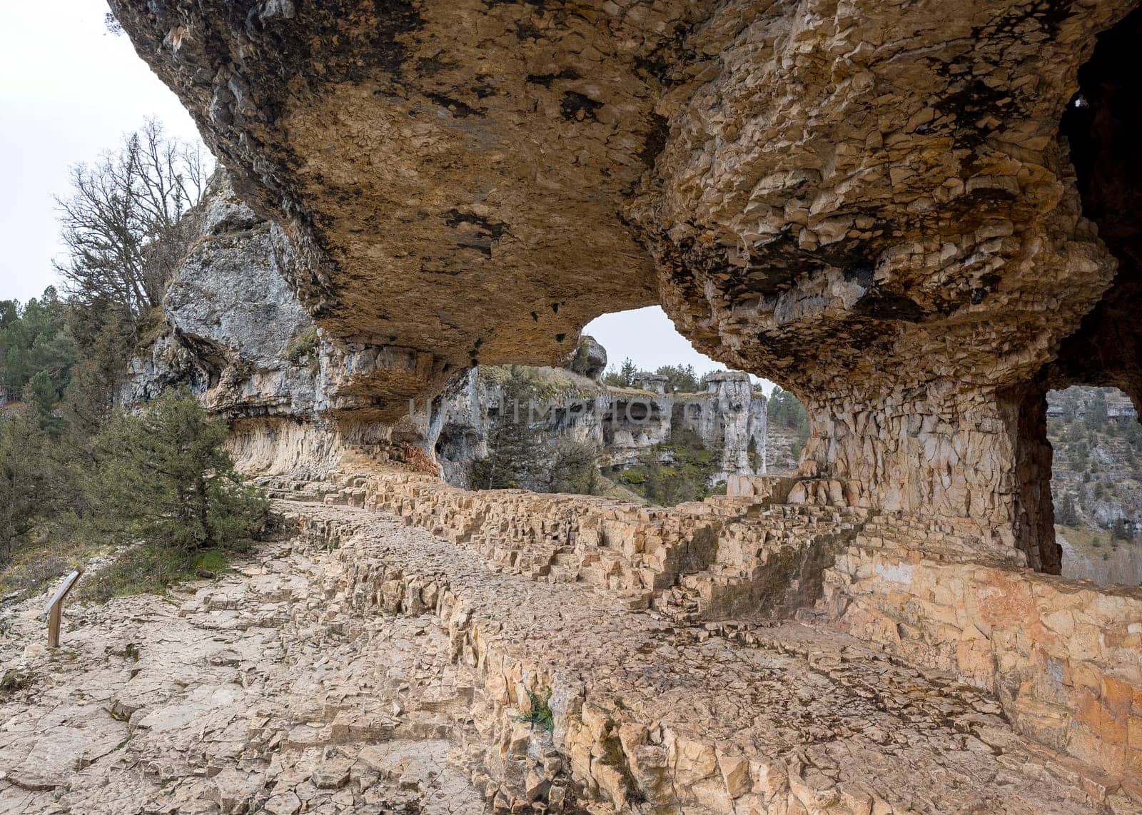 A stunning natural rocky archway with rugged terrain and lush trees highlights the beauty of geological formations.