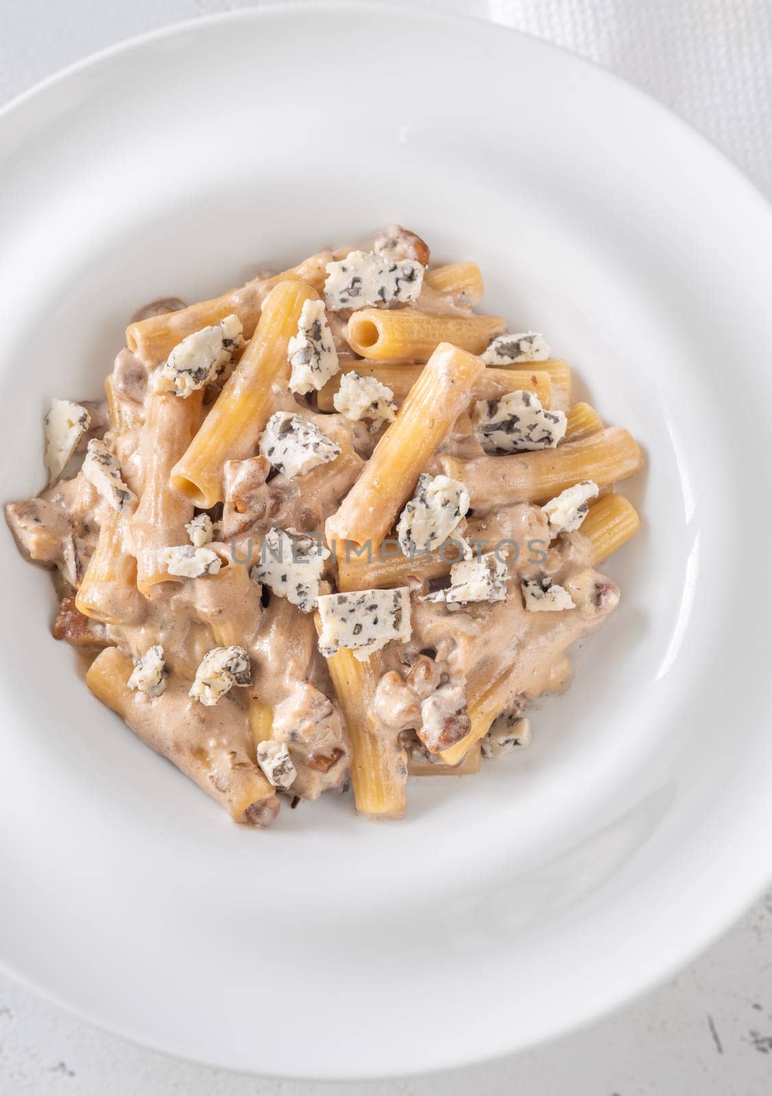 Soft penne coated in rich walnut sauce with crumbled sharp blue cheese