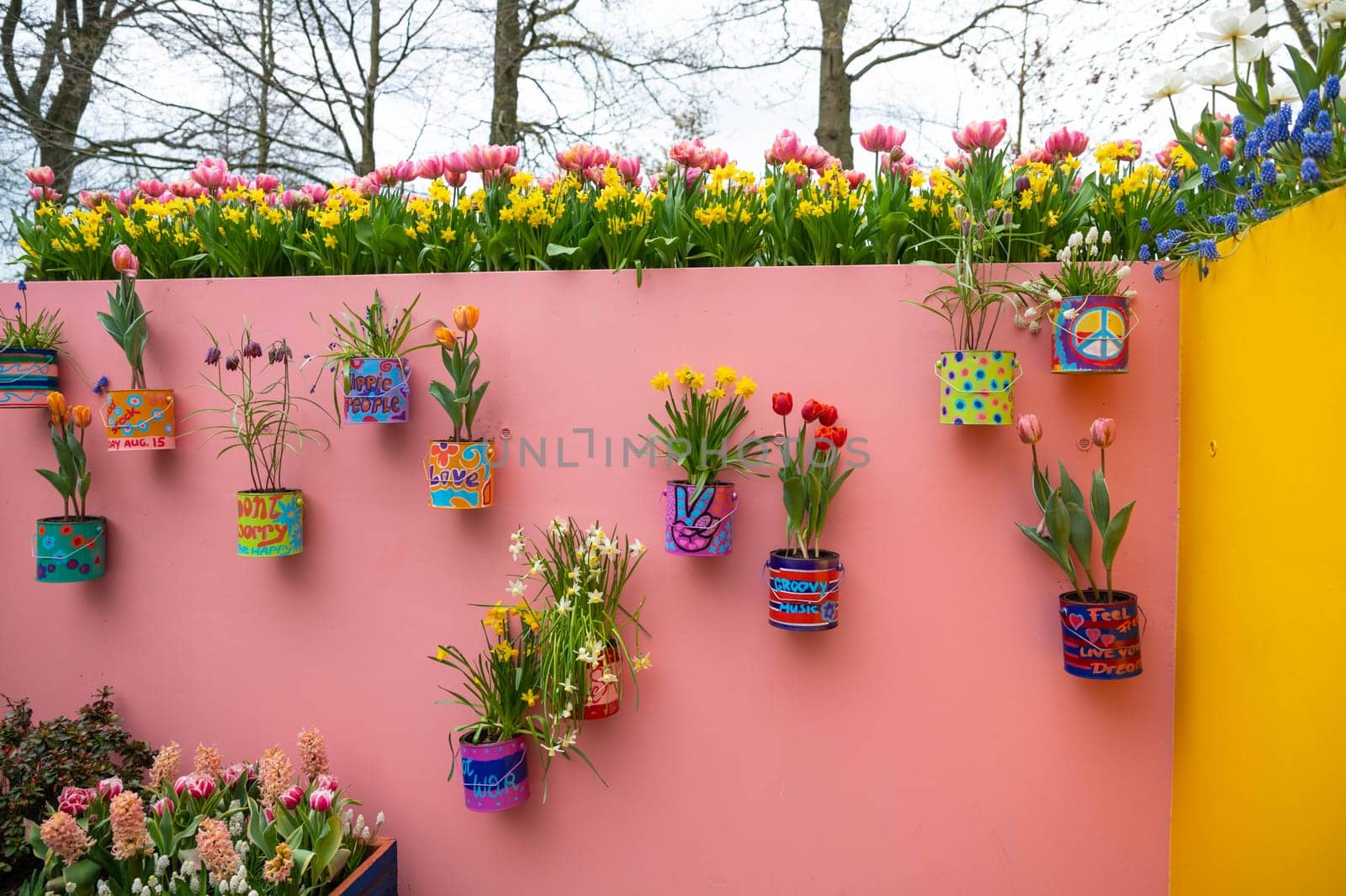 Lisse, Netherlands - April 17, 2019: Flowers tulips, daffodils, muscari, hyacinths in flower pots on the wall. Decoration in a Keukenhof park