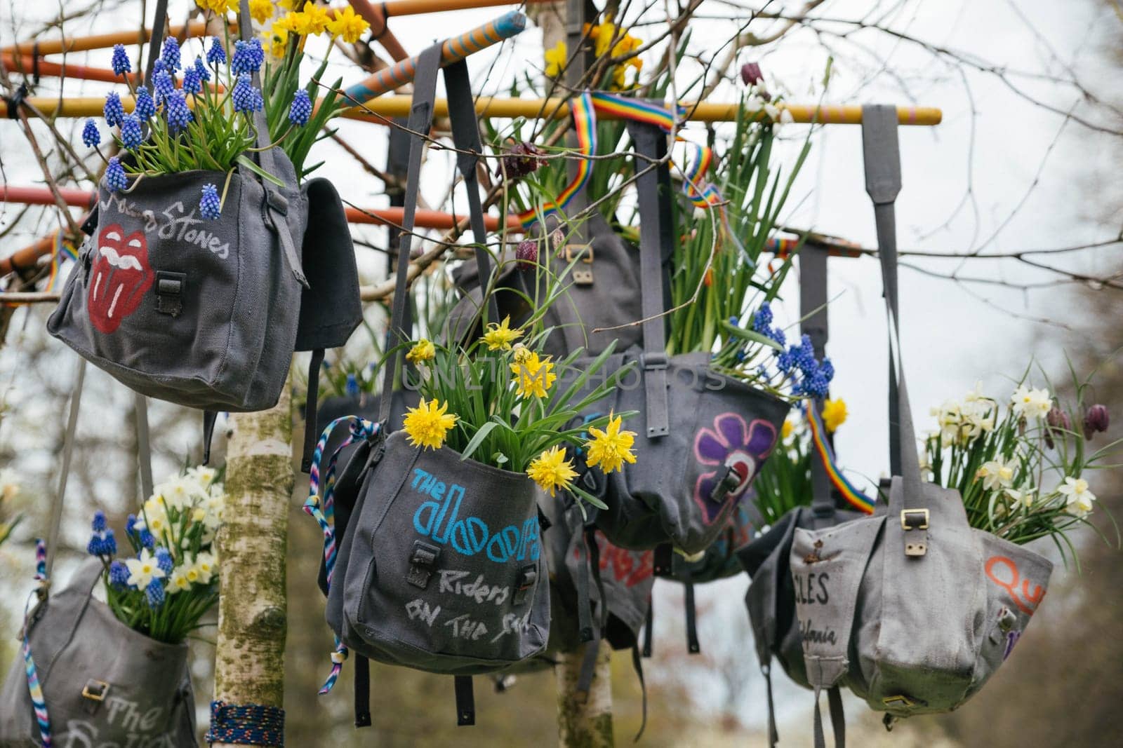 Lisse, Netherlands - April 17, 2019: Muscari daffodils hang in a vintage bag