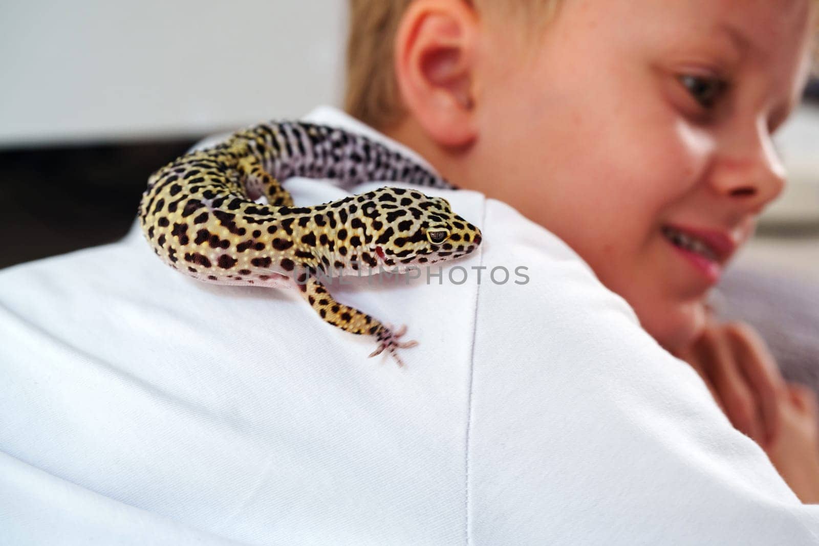 A child smiles while a leopard gecko rests on their shoulder, showcasing a playful moment between the child and their pet at home in daylight.