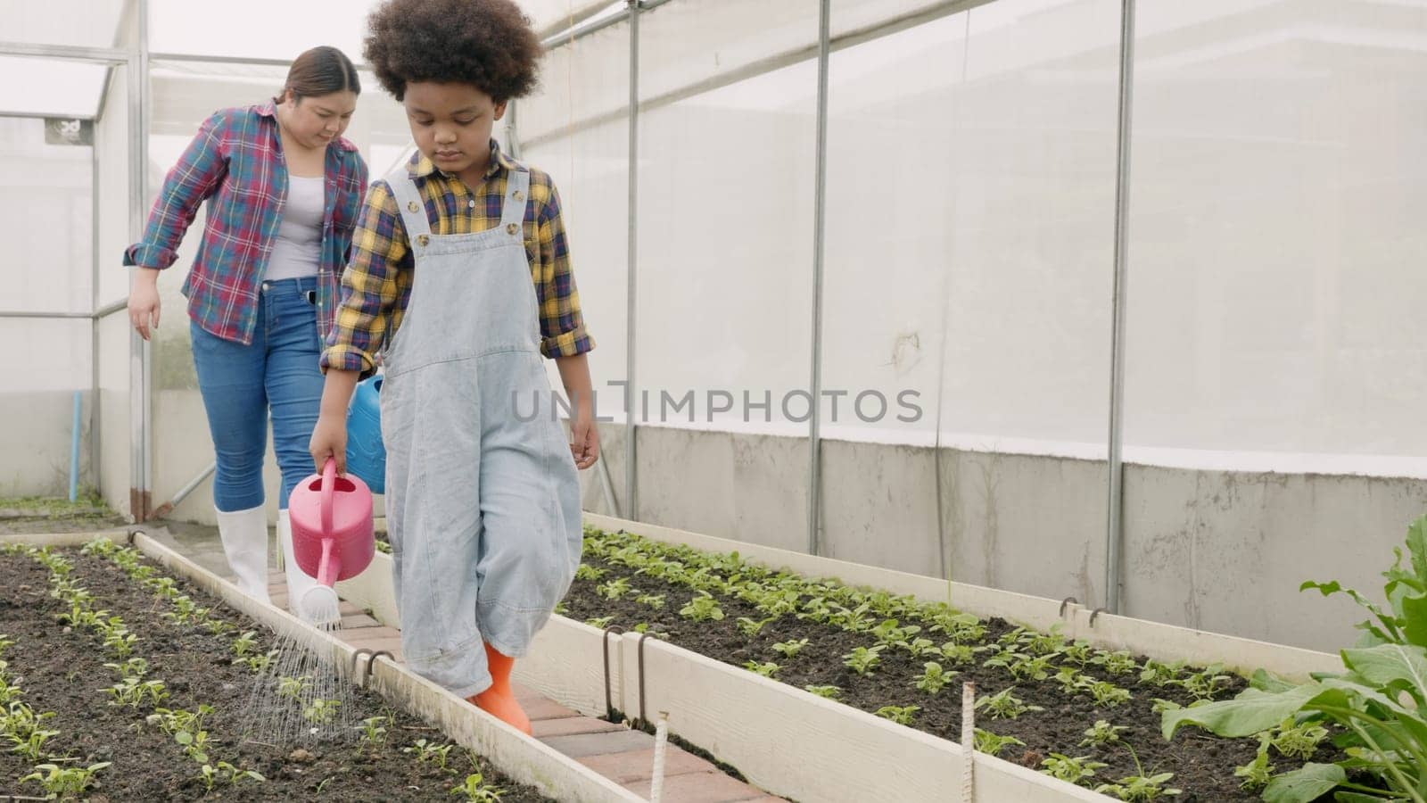 Mother and son watering can waters the plants vegetables in garden, helps to take care of them, Woman and child boy gardening together planting, Concept of healthy eating growing vegetables at home