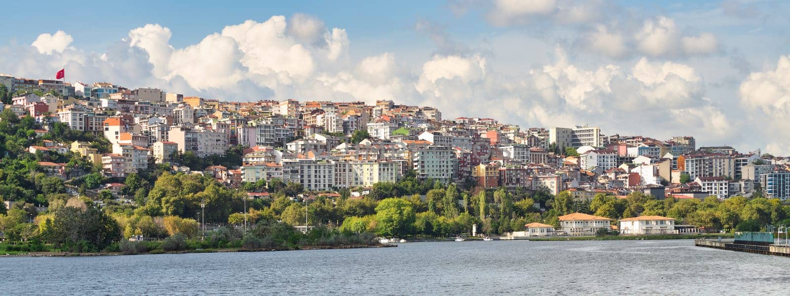 On a sunny summer day, Istanbul, Turkey, presents a picturesque landscape along its coast. Dense, majestic trees adorn the verdant mountains, while residential houses dot the horizon
